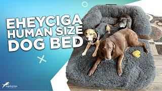 Review EHEYCIGA Human Size Dog Bed