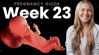 23 Weeks Pregnant  Week By Week Pregnancy