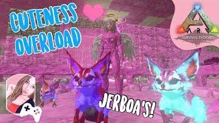 Jerboa Taming Finally Jerboas on Mobile  Ark Mobile Gameplay Ep 41