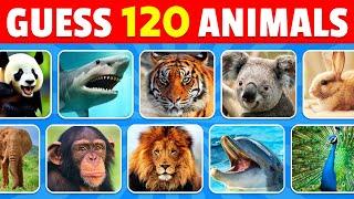 Guess 120 Animals in 3 Seconds  Easy Medium Hard Impossible