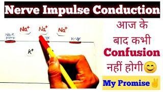 Nerve Impulse Conduction हमेशा के लिए CONFUSION दूर Easiest Explaination Neet Confusion Series