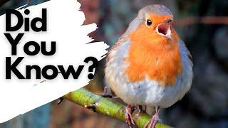 Things you need to know about ROBINS