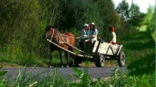 Love story Пригоди на природі - відеостудія Шедевр Shedevr