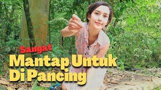 SPOT YANG MANTAP UNTUK DIPANCING