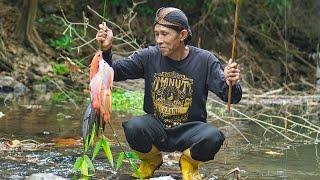 Memancing Ikan di Sungai  Masak Pecel Lele Sambal Lamongan Tumis Kangkung dan Wedang Teh Jahe