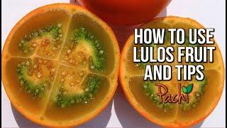 Video image of LULO NARANJILLA Solanum quitoense & How to use it for VIT C & ENERGY by Pachi