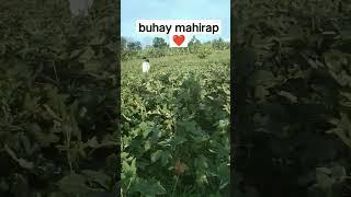 Buhay mahirap