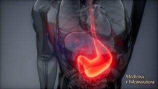 Patologie gastrointestinali novità per diagnosi e cura ruolo del microbiota esofagite eosinofila