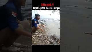 Dapat jackpot 7 kg up pokoknya mantull #mancing #fishing #sungai