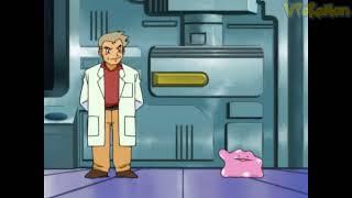 Ditto attacks Professor Oak  Professor Oak Funny Moments