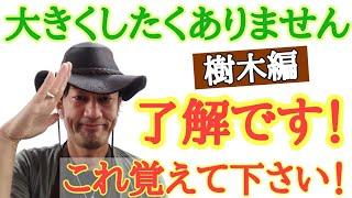 【切るならここでしょ！】園芸店長が植物の剪定の仕方を教えます　植物を切ったことがない方必見です。切りたくて仕方がなくなります　　剪定方法の中から透かし剪定を教えます  japan garden