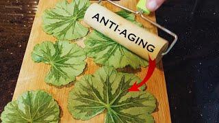 Not a Single Wrinkle with Geranium️Anti-aging Geranium Oil Recipe