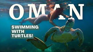 DAYMANIYAT ISLANDS  SNORKELLING WITH TURTLES IN THE ARABIAN SEA  OMAN SERIES PT 5