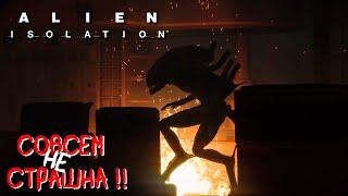 Сериал Тупой и ещё тупее Конкурс на самый тупой поступок   Alien Isolation