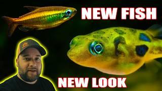 Fish Room Update Rare Finds Breeding Madness & Future Plans