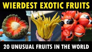 Unusual Exotic Fruits around the World  20 Weirdest Fruits in the World