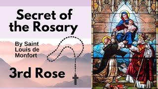 3rd Rose - The Secret of the Rosary book