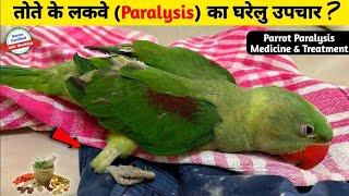 तोते के लकवे का घरेलू उपचार  Parrot Paralysis Treatment at Home  Tote Ke Lakwe Ka ilaaj