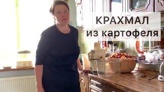 КРАХМАЛ из картофеля. Не выбрасывайте прошлогодний картофель.