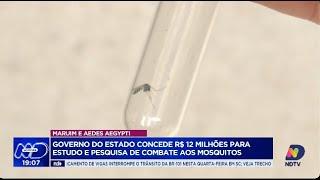 Santa Catarina investe R$12 milhões no combate à febre Oropouche e dengue
