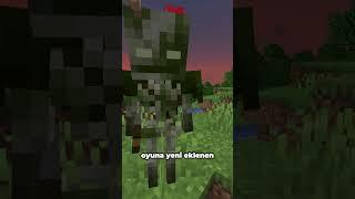 Minecraftta Batıkların HİÇ Bilinmeyen Hikayesi #shorts #minecraft #short #shortsvideo #tiktok