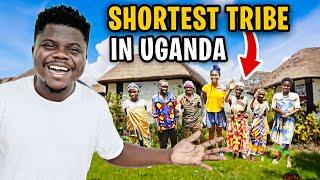 Why The World Shortest Tribe In Uganda is Facing ExtinctionPygmies Of Uganda