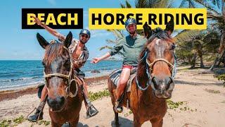 Is HORSE RIDING on the Beach Worth It...?  Saint Lucia Birthday Vlog