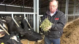 Alfalfa Forage Grass Update for dairy cows Spring 2018