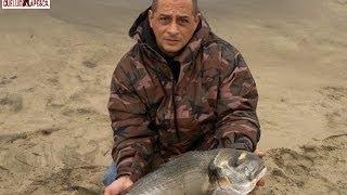 Surfcasting PAF .... BIG ORATA 5 Kg per Daniele