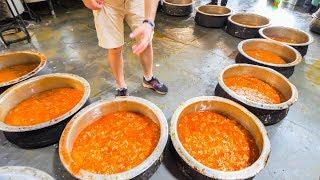 Indian Street Food FACTORY - Enter Street Food HEAVEN - Hyderabad India - BEST Street Food in India