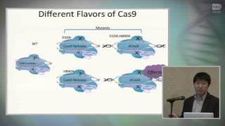 CRISPR-Cas9 Mediated Mouse Model Creation and Transcription Regulation - Haoyi Wang