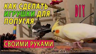 КАК СДЕЛАТЬ ИГРУШКИ ДЛЯ ПОПУГАЕВ СВОИМИ РУКАМИ  СЕКРЕТНЫЙ ИНГРИДИЕНТ О КОТОРОМ ВЫ НЕ ЗНАЛИ