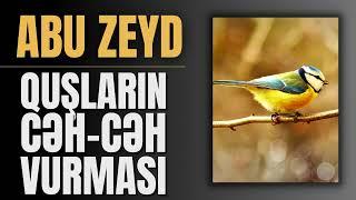 Quşların cəh-cəh vurması - Abu Zeyd I Fəcr TV