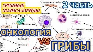 Грибы против рака. Уникальный проект российских ученых.