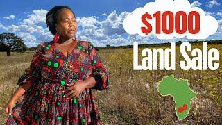 Beautiful Land For Sale in Lusaka Zambia  $1000  $700  2024 #zambia #africa #landforsale