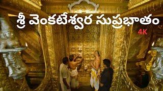 Suprabhatam  Venkateswara Swamy  సుప్రభాతం  Trendy Trends @MK