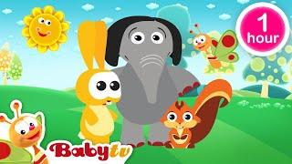 Jogando Futebol ​ + mais clássicos da BabyTV   episódios completos @BabyTVPT