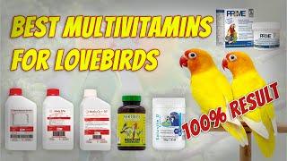 Multivitamins and Calcium for lovebirds  #vitamins #minerals #calcium #birds #breedingformula #pets