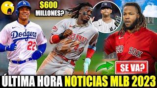 DODGERS 600 MILLONES a SOTO? Se PELEAN por VLADDY JR ELLY DE LA CRUZ ATACA a los YANKEES LUIS GIL