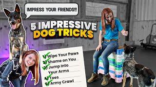 5 Fun and Unique Dog Tricks That Will Make You a Hero to Your Pet