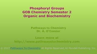 Phosphoryl Groups