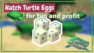 How to Hatch Turtle Eggs in Minecraft - Java Bedrock PE