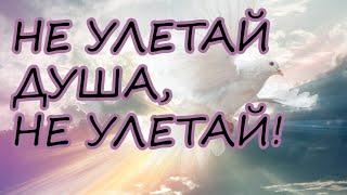 Не улетай Душа- прекрасная песня Анатолия Доровских в нашем живом исполнении