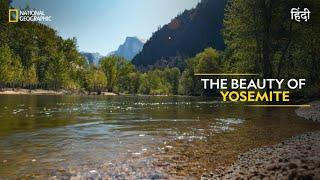 The Beauty of Yosemite  America’s National Parks  हिन्दी  Full Episode  S1-E3  Nat Geo