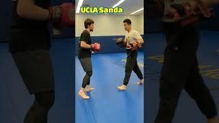 UCLA Sanda. Go Bruins  #wushu #kickboxing