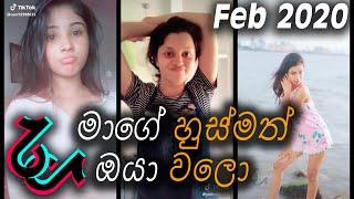 මාගේ හුස්මත් ඔයා වෙලා  Mage Husmath Oya Wela  Sri Lanka Tik Tok Compilations #3