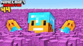 UNLIMITED SHULKER BOXES in Minecraft Hardcore