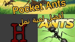 أفضل لعبة نمل للاندرويد Pocket Ants