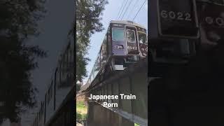 Japanese Train Porn