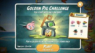 Angry Birds 2 Golden Pig Challenge Stella